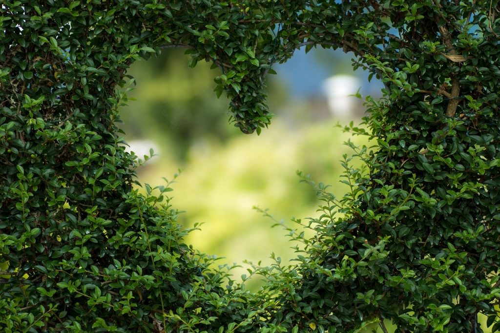 heart-herzchen-love-1192662-1024×682