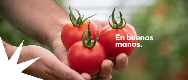 portada-inicio-1536×652